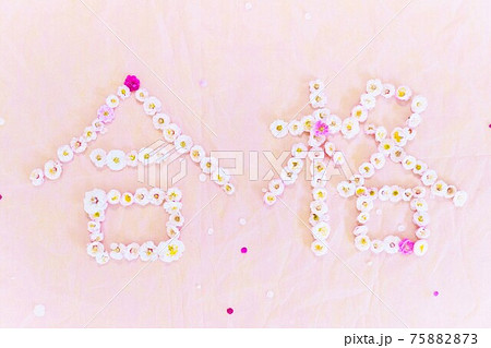 ピンクの背景に梅の花で描いた横書きの合格の漢字のアップの写真素材 7573