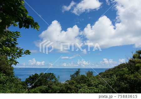 斎場御嶽（せーふぁーうたき）沖縄の海 75883615