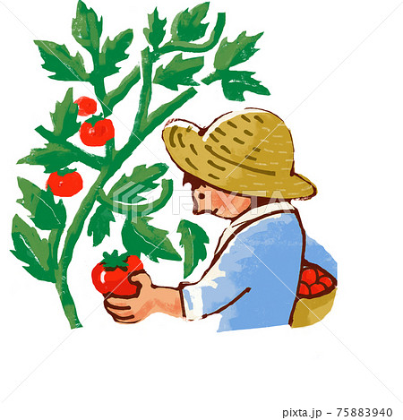 かごを抱えてトマトの収穫をする人物のイラスト素材 7540
