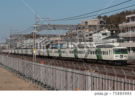 15両の超大編成を連ねて東海道本線を疾走する185系電車 特急「踊り子」_2021/1/16撮影 15両の超大編成を連ねて東海道本線を疾走する185系電車 特急「踊り子」_2021/1/16撮影 75883993