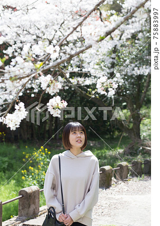 花見をする女性のポートレート 花見をする女性のポートレート 75883997