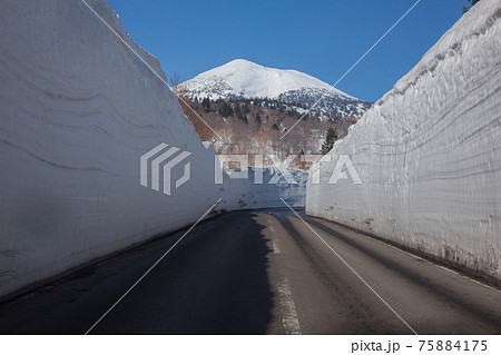 雪の回廊と八甲田大岳 雪の回廊と八甲田大岳 75884175