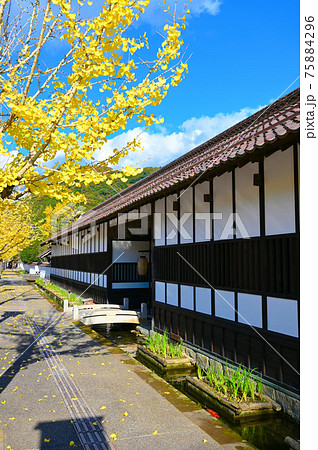 津和野 藩校養老館 紅葉 津和野町 津和野 藩校養老館 紅葉 津和野町 75884296