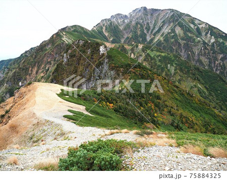 北アルプス・五竜岳 北アルプス・五竜岳 75884325