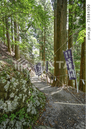 熊野三山の奥の宮　玉置神社参道 75884390