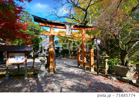 弥栄神社　鳥居　紅葉　津和野町 75885774