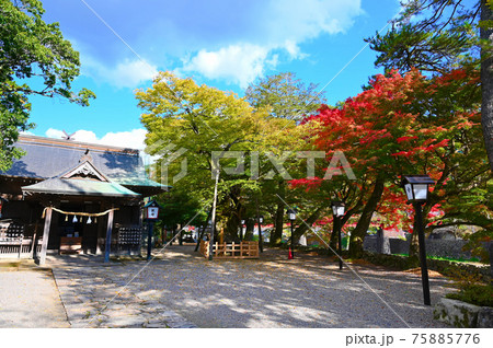 弥栄神社　拝殿　紅葉　津和野町 75885776