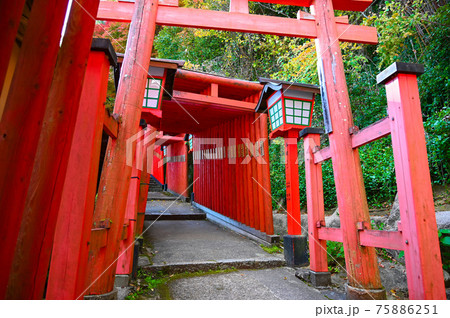 太鼓谷稲成神社 朱色の千本鳥居 表参道 津和野町 太鼓谷稲成神社 朱色の千本鳥居 表参道 津和野町 75886251
