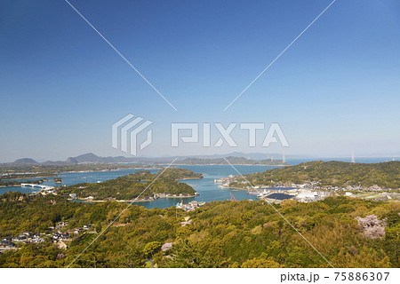 千巌山　天草五橋　桜 75886307