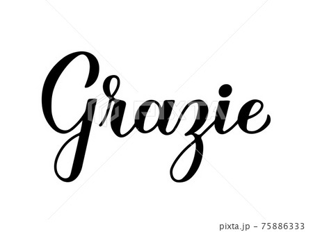 Thank you calligraphy hand lettering in Italian language isolated on white background. Vector template for wedding thank you card, tag,  75886333