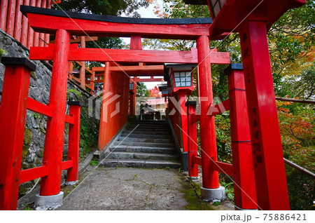 太鼓谷稲成神社　朱色の千本鳥居　表参道　津和野町 75886421