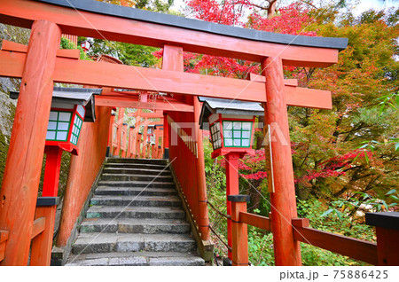 太鼓谷稲成神社 朱色の千本鳥居 表参道 津和野町 太鼓谷稲成神社 朱色の千本鳥居 表参道 津和野町 75886425