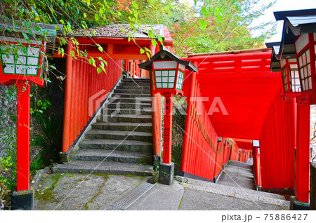 太鼓谷稲成神社 朱色の千本鳥居 表参道 津和野町 太鼓谷稲成神社 朱色の千本鳥居 表参道 津和野町 75886427