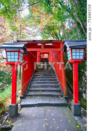 太鼓谷稲成神社 朱色の千本鳥居 表参道 島根県津和野町 太鼓谷稲成神社 朱色の千本鳥居 表参道 島根県津和野町 75886558