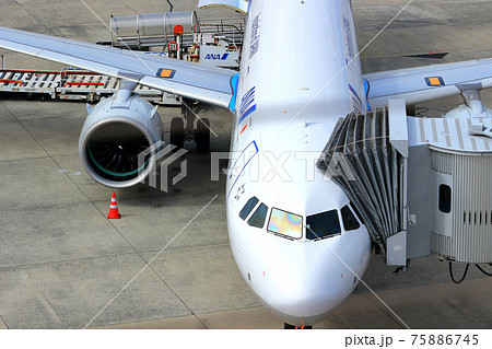 大阪国際空港 ANA 搭乗橋 大阪国際空港 ANA 搭乗橋 75886745