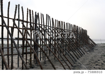 bamboo fence and wall for safety of beach sand bamboo fence and wall for safety of beach sand 75886910