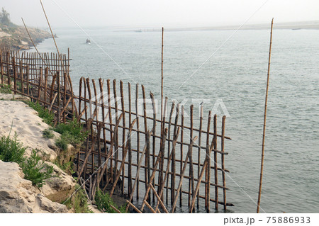 bamboo fence and wall for safety of beach sand bamboo fence and wall for safety of beach sand 75886933