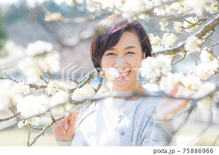 ソメイヨシノ桜を楽しむミドルシニア女性 埼玉県秩父にて ソメイヨシノ桜を楽しむミドルシニア女性 埼玉県秩父にて 75886966