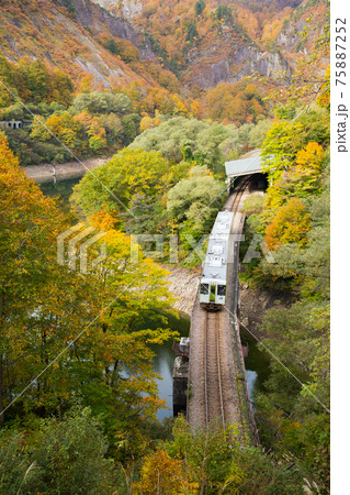 福島県只見町 紅葉の田子倉湖を渡る只見線の列車の写真素材