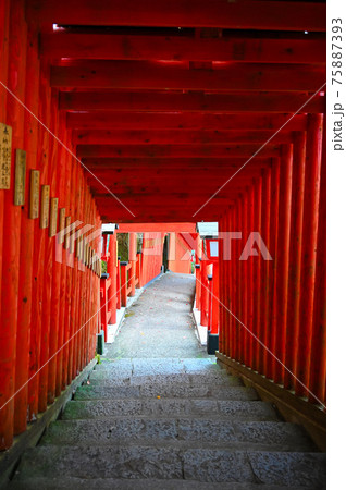 太鼓谷稲成神社　千本鳥居　表参道　津和野町 75887393