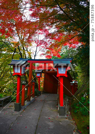 太鼓谷稲成神社 千本鳥居 表参道 津和野町 太鼓谷稲成神社 千本鳥居 表参道 津和野町 75887396