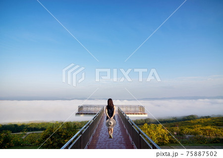 Landscape nature flower Tung Bua Tong, View point. Landscape nature flower Tung Bua Tong, View point. 75887502