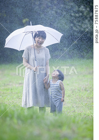 雨の日に傘をさして歩く親子 75887675