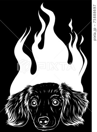 white silhouette of puppy Dog with Flame ornaments vector illustration white silhouette of puppy Dog with Flame ornaments vector illustration 75888697