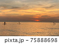 Silhouette of Stand Up Paddle board on the beach at sunset. Surfer and ocean. Side view. 75888698