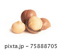 Macadamia nut on a white background. 75888705