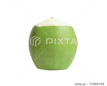 Green coconut isolated on white background Green coconut isolated on white background 75888706