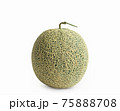 cantaloupe melon isolated on white background 75888708