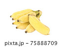 bananas isolated on white background 75888709