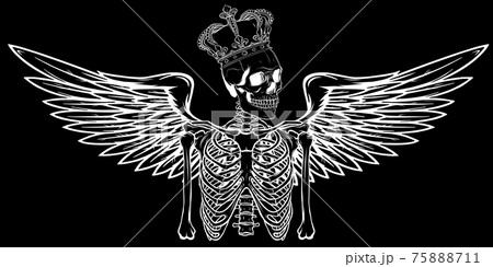 vector white silhouette of angel skeleton with wing and crown 75888711