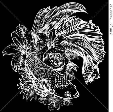 white silhouette of fish betta splendens with flowers vector illustration 75888712