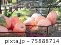 autumn harvest vegetables on a cart pumpkin 75888714