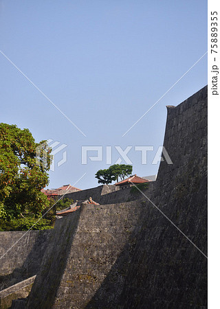 沖縄 那覇首里城公園 75889355