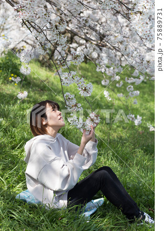 土手に座ってお花見 土手に座ってお花見 75889731