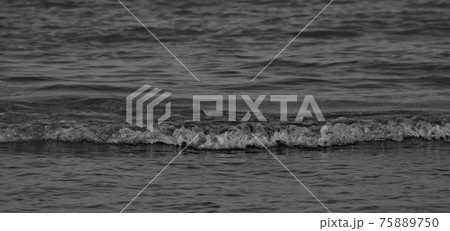 Black and White water ripples. Waves on water background and textures. 75889750