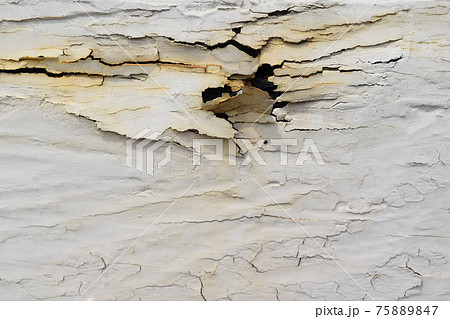 剥がれた白いペンキ 剥がれた白いペンキ 75889847