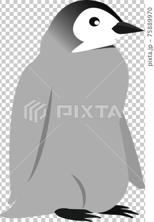 可愛い子どもの皇帝ペンギンのイラスト素材 可愛い子どもの皇帝ペンギンのイラスト素材