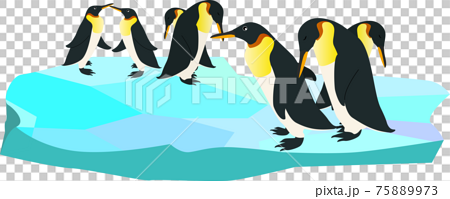 氷の上にいる可愛いペンギンの群れのイラスト素材
