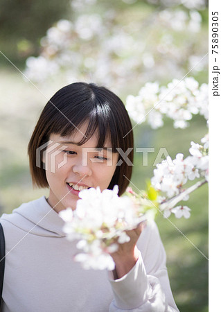 桜を愛でる女性ポートレート 桜を愛でる女性ポートレート 75890305