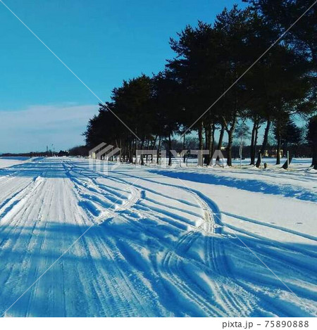 北海道帯広市郊外の雪原 北海道帯広市郊外の雪原 75890888