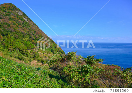 カマヤ海岸 丹後半島 伊根町 カマヤ海岸 丹後半島 伊根町 75891560