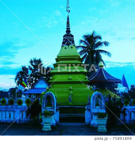 ラオスのパクセーの寺院内の仏塔 75891809