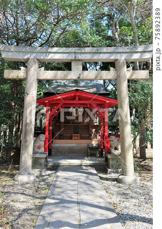保久良神社 灘の一ツ火 保久良神社 灘の一ツ火 75892389