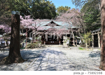 保久良神社 灘の一ツ火 保久良神社 灘の一ツ火 75892398
