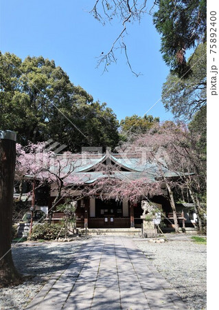 保久良神社 灘の一ツ火 保久良神社 灘の一ツ火 75892400