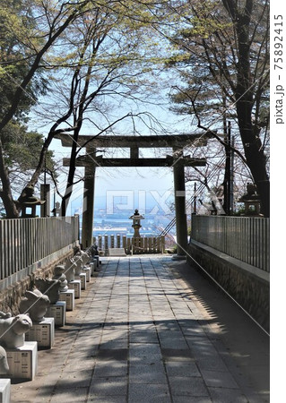 保久良神社 灘の一ツ火 保久良神社 灘の一ツ火 75892415